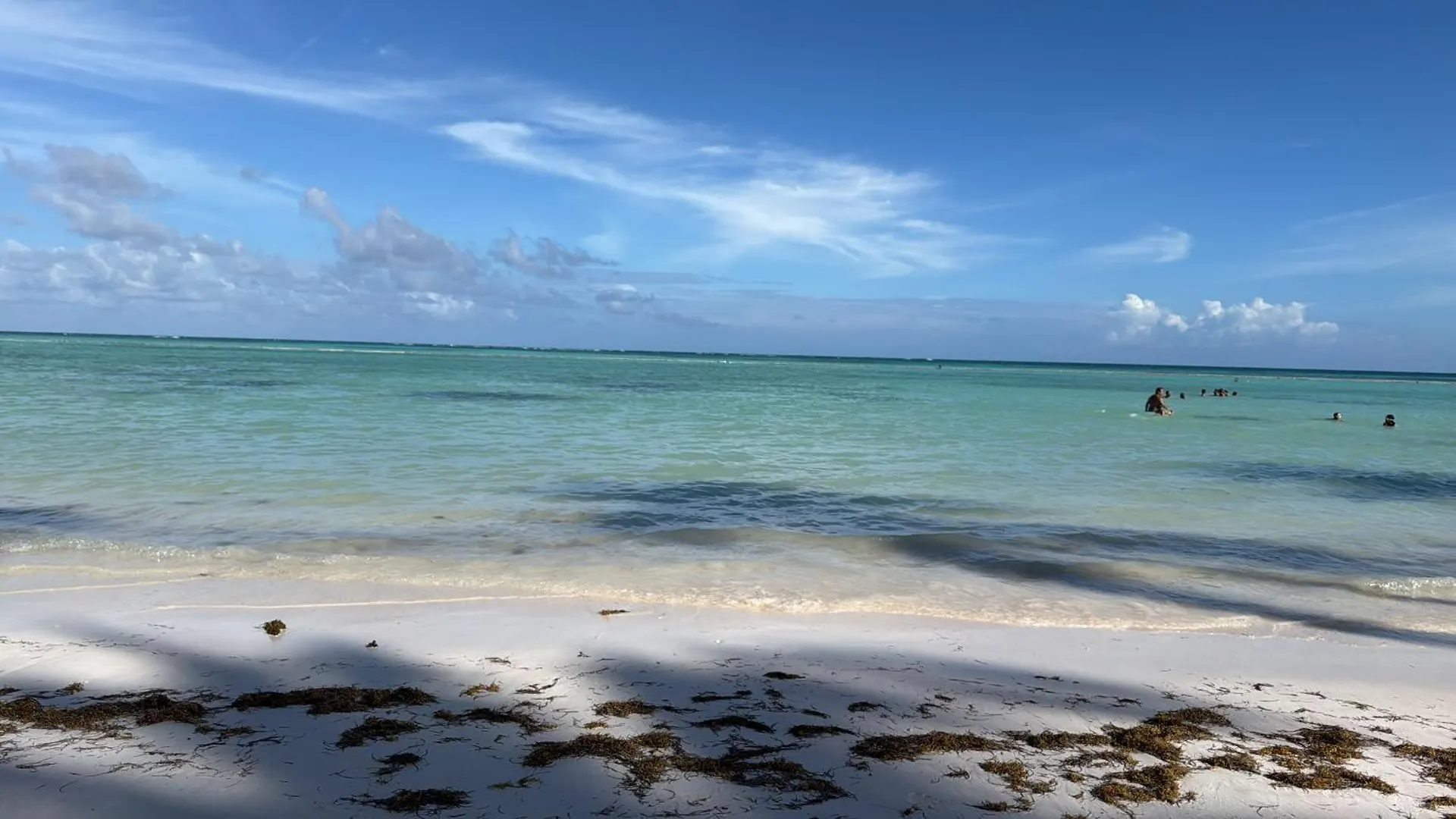 Apartment Confort & Luxury In Punta Cana At 7 Mares Cap Cana With Pools, Jacuzzi And Free Beach Access